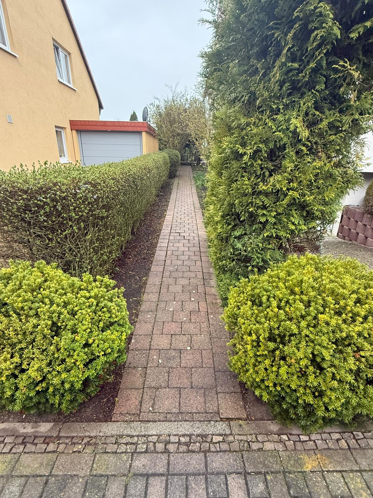 Vorher: Grundstück vor dem Zaunbau